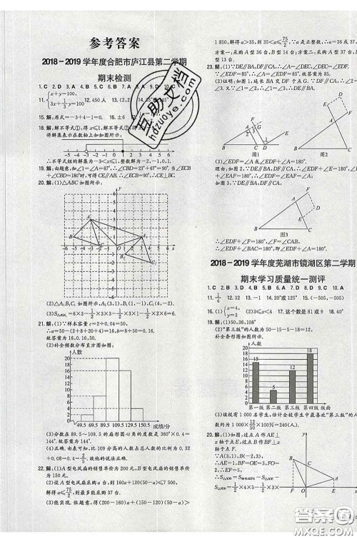 2020新版一本同步训练初中数学七年级下册人教版答案 2020新版一本同步训练初中数学七年级下册人教版答案
