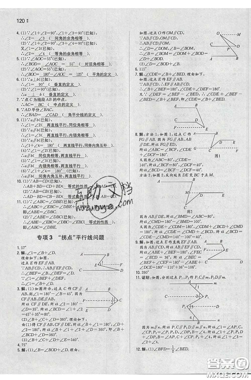 2020新版一本同步训练初中数学七年级下册人教版答案