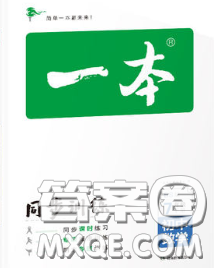 2020新版一本同步训练初中数学七年级下册北师版答案 2020新版一本同步训练初中数学七年级下册北师版答案