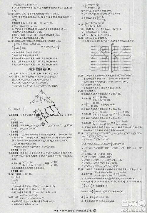 2020新版一本同步训练初中数学七年级下册华师版答案