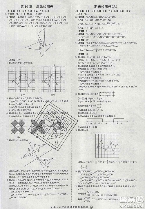 2020新版一本同步训练初中数学七年级下册华师版答案