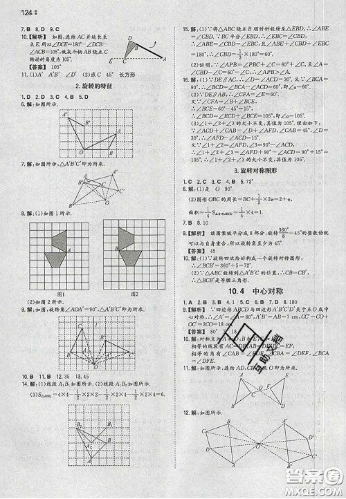 2020新版一本同步训练初中数学七年级下册华师版答案