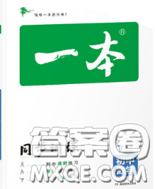 2020新版一本同步训练初中数学七年级下册沪科版安徽专版答案