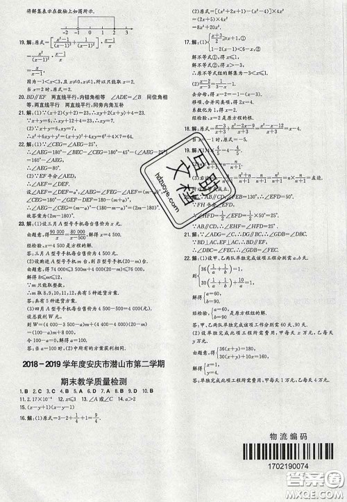 2020新版一本同步训练初中数学七年级下册沪科版安徽专版答案