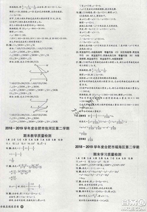 2020新版一本同步训练初中数学七年级下册沪科版安徽专版答案