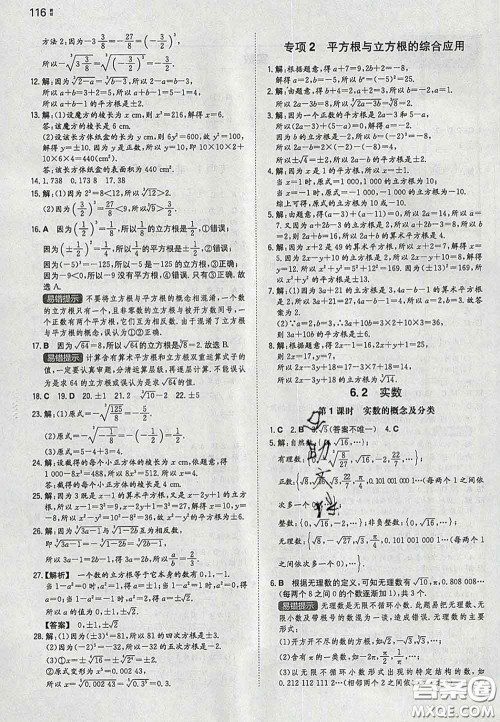 2020新版一本同步训练初中数学七年级下册沪科版安徽专版答案