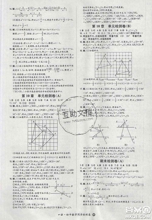 2020新版一本同步训练初中数学七年级下册沪科版安徽专版答案