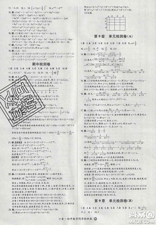 2020新版一本同步训练初中数学七年级下册沪科版安徽专版答案