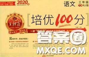 2020年王朝霞培优100分语文三年级下册RJ人教版参考答案