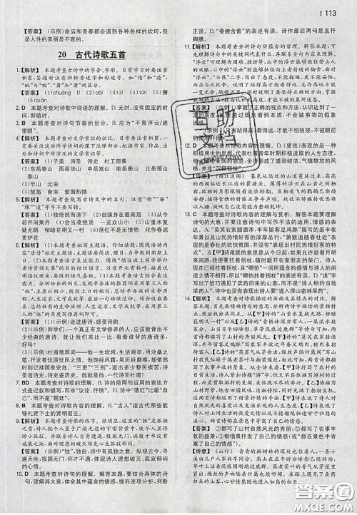 2020新版一本同步训练初中语文七年级下册人教版答案