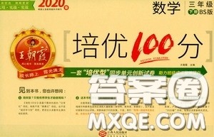 2020年王朝霞培优100分数学三年级下册BS北师版参考答案