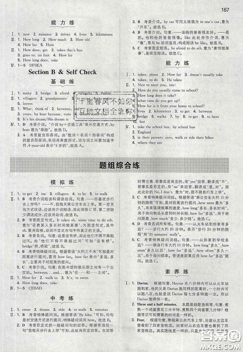 2020新版一本同步训练初中英语七年级下册人教版答案 2020新版一本同步训练初中英语七年级下册人教版答案