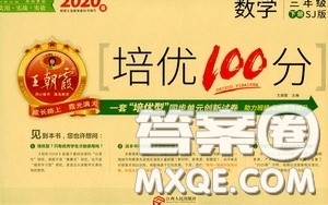 2020年王朝霞培优100分数学三年级下册SJ苏教版参考答案