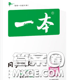 2020新版一本同步训练初中英语七年级下册译林版答案 2020新版一本同步训练初中英语七年级下册译林版答案