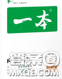 2020新版一本同步训练初中历史七年级下册人教版答案 2020新版一本同步训练初中历史七年级下册人教版答案