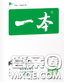 2020新版一本同步训练初中生物七年级下册人教版答案 2020新版一本同步训练初中生物七年级下册人教版答案