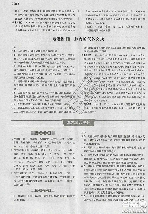 2020新版一本同步训练初中生物七年级下册人教版答案 2020新版一本同步训练初中生物七年级下册人教版答案