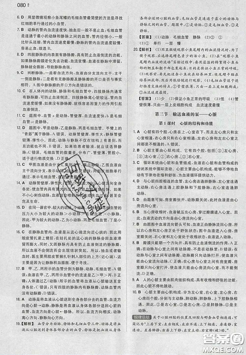 2020新版一本同步训练初中生物七年级下册人教版答案 2020新版一本同步训练初中生物七年级下册人教版答案