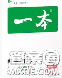 2020新版一本同步训练初中道德与法治七年级下册人教版答案 2020新版一本同步训练初中道德与法治七年级下册人教版答案