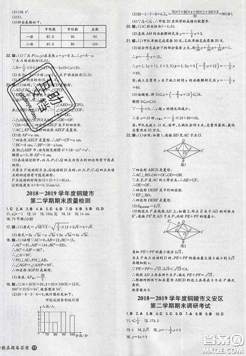 2020新版一本同步训练初中数学八年级下册人教版答案 2020新版一本同步训练初中数学八年级下册人教版答案