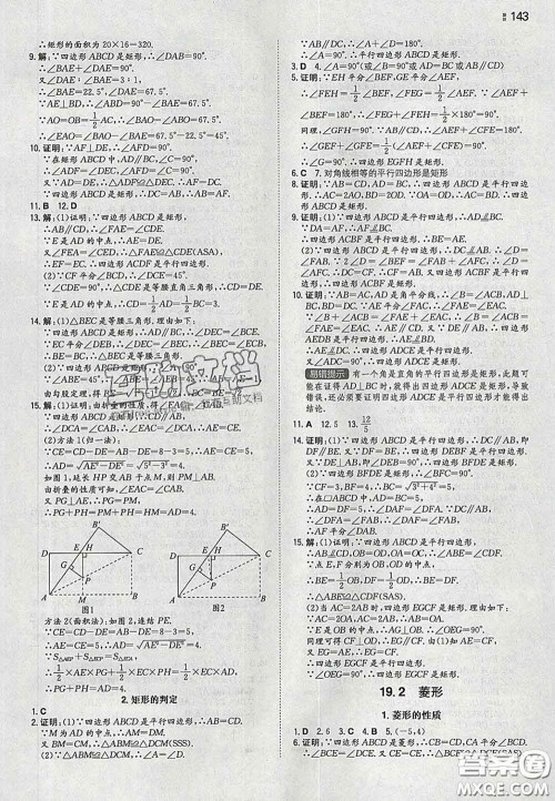 2020新版一本同步训练初中数学八年级下册华师版答案 2020新版一本同步训练初中数学八年级下册华师版答案