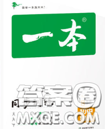 2020新版一本同步训练初中物理八年级下册沪粤版答案