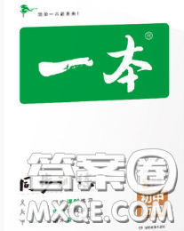 2020新版一本同步训练初中历史八年级下册人教版答案