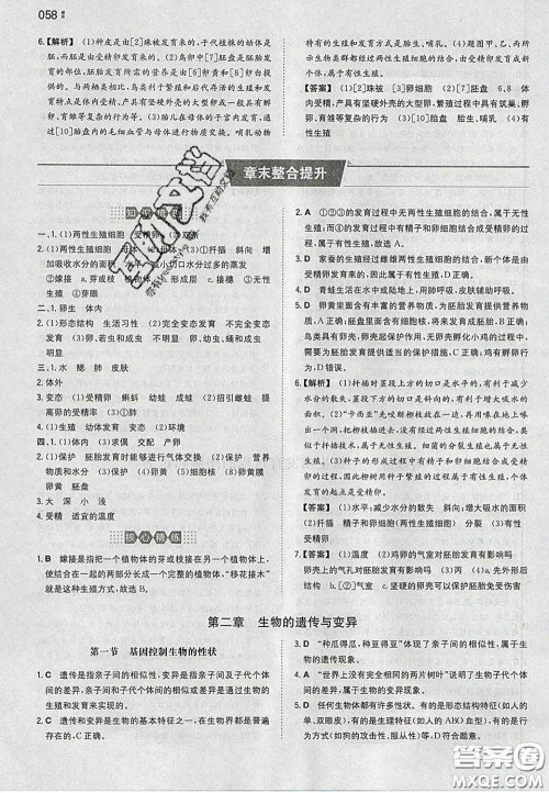 2020新版一本同步训练初中生物八年级下册人教版答案