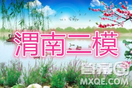 渭南市2020年高三教学质量检测二理科数学试题及答案