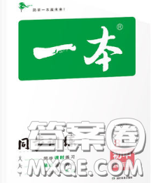 2020新版一本同步训练初中道德与法治八年级下册人教版答案