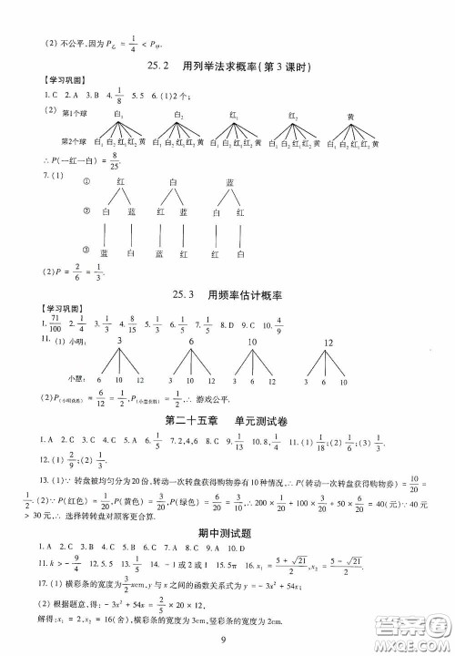 明天出版社2020智慧学习数学九年级全一册答案