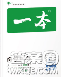 2020新版一本同步训练初中数学九年级下册北师版答案 2020新版一本同步训练初中数学九年级下册北师版答案