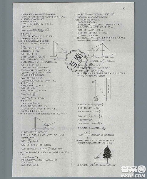 2020新版一本同步训练初中数学九年级下册北师版答案