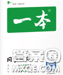 2020新版一本同步训练初中数学九年级下册华师版答案