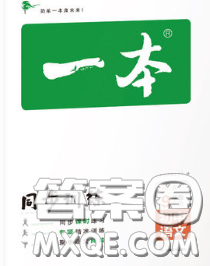 2020新版一本同步训练初中语文九年级下册人教版答案