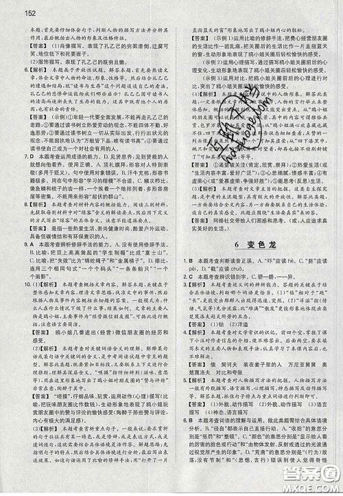 2020新版一本同步训练初中语文九年级下册人教版答案