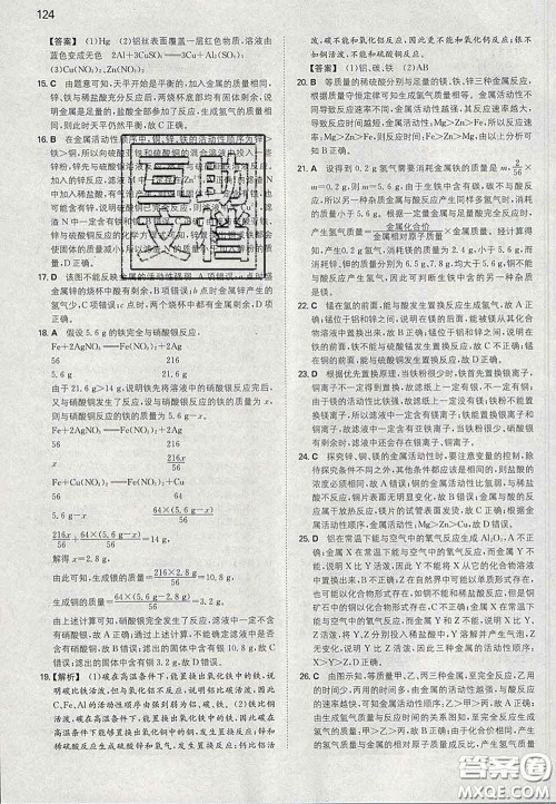 2020新版一本同步训练初中化学九年级下册人教版答案