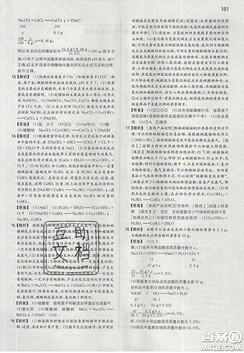 2020新版一本同步训练初中化学九年级下册人教版答案