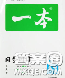 2020新版一本同步训练初中化学九年级下册沪教版答案
