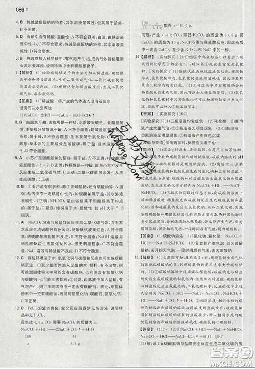 2020新版一本同步训练初中化学九年级下册沪教版答案 2020新版一本同步训练初中化学九年级下册沪教版答案