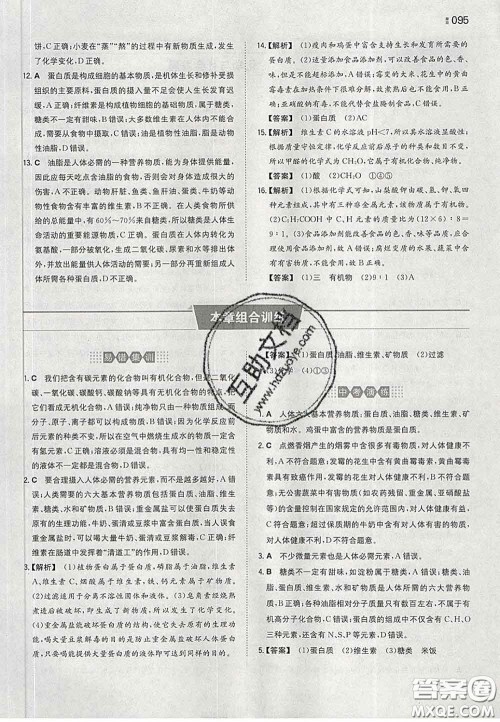 2020新版一本同步训练初中化学九年级下册沪教版答案 2020新版一本同步训练初中化学九年级下册沪教版答案