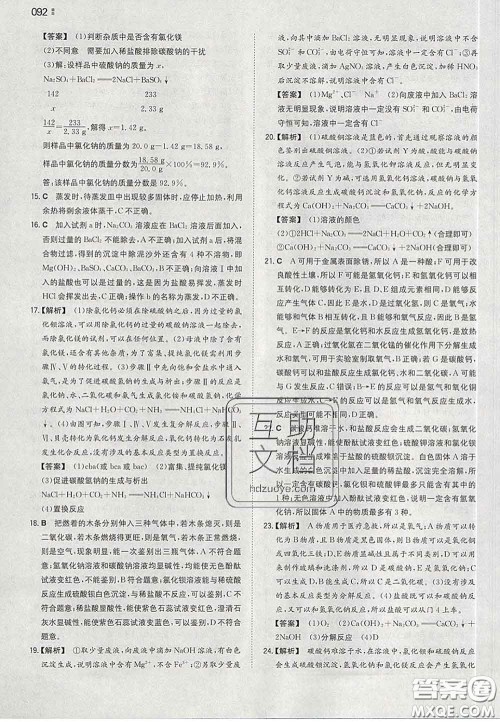 2020新版一本同步训练初中化学九年级下册沪教版答案