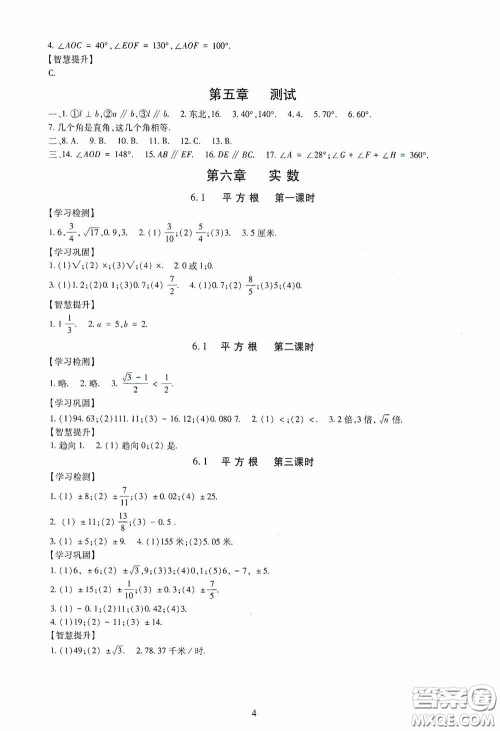 明天出版社2020智慧学习七年级数学下册答案