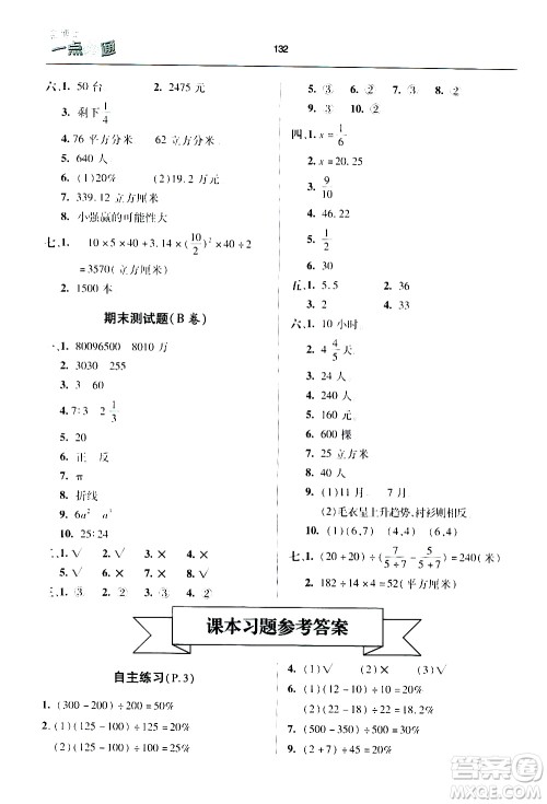 2020年金博士一点全通数学六年级下册青岛版参考答案