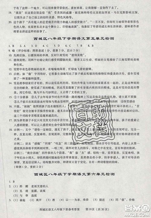2020春北京西城学习探究诊断八年级语文下册人教版答案 2020春北京西城学习探究诊断八年级语文下册人教版答案