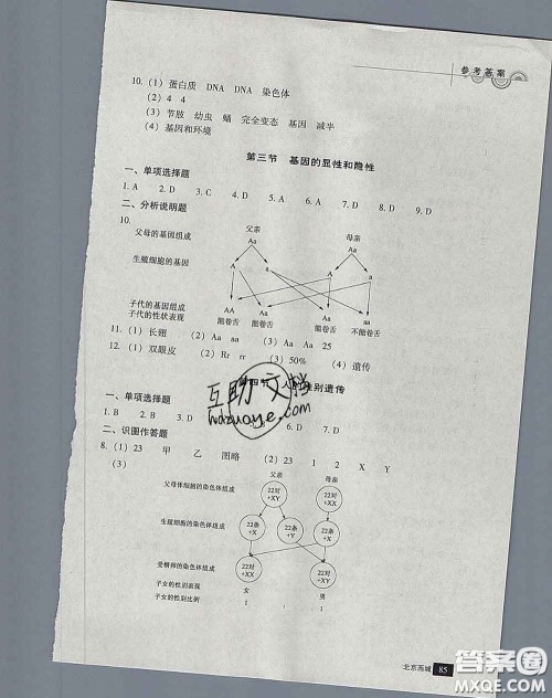 2020春北京西城学习探究诊断八年级生物下册人教版答案