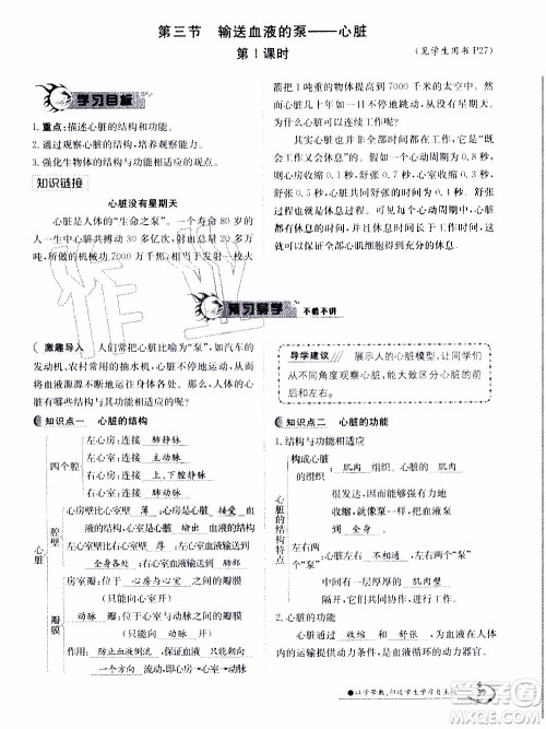 江西高校出版社2020年金太阳导学案生物七年级下册参考答案 江西高校出版社2020年金太阳导学案生物七年级下册参考答案