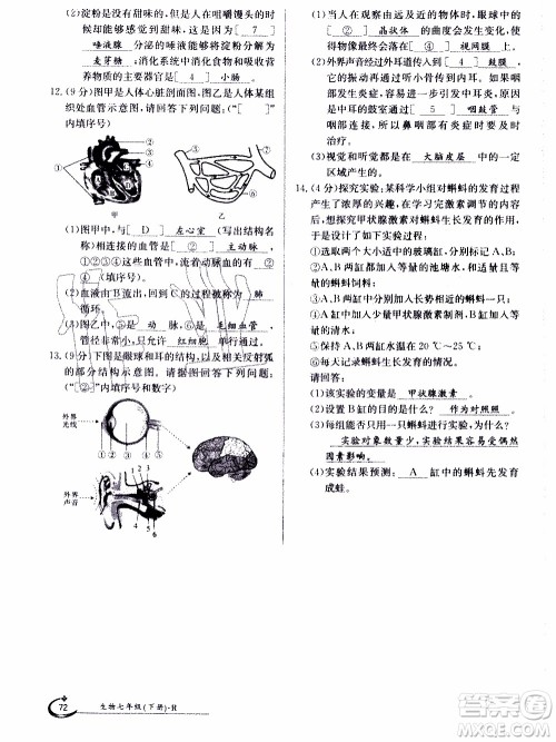 江西高校出版社2020年金太阳导学案生物七年级下册参考答案