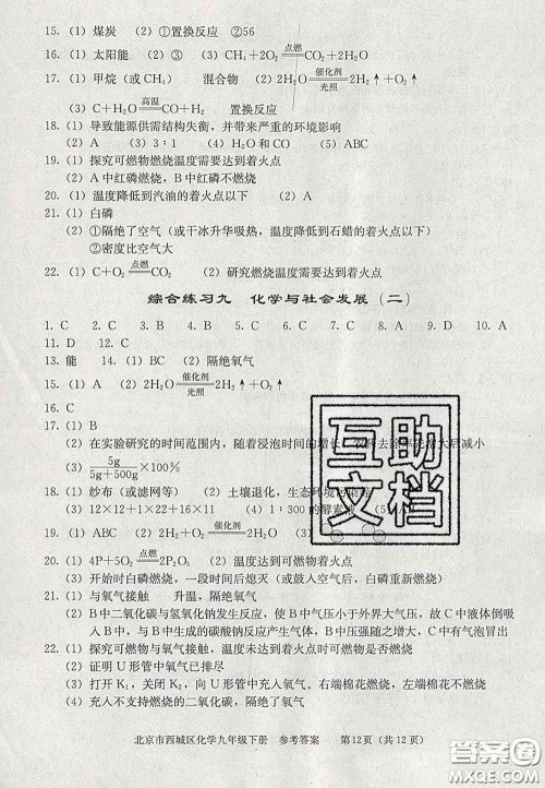 2020春北京西城学习探究诊断九年级化学下册人教版答案