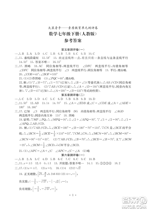 光明日报出版社2020大显身手素质教育单元测评卷七年级数学下册答案